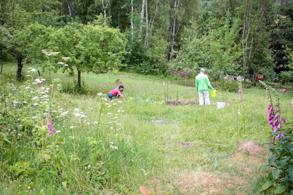 Enjoy Cozy Romance Hills Forest Gardens Views Sauna Whirlpool Bath Jablonne v Podjestedi Luaran gambar