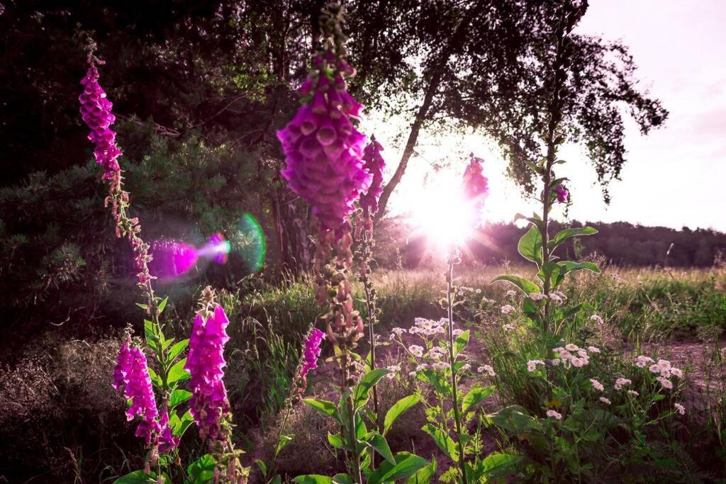 Enjoy Cozy Romance Hills Forest Gardens Views Sauna Whirlpool Bath Jablonne v Podjestedi Luaran gambar